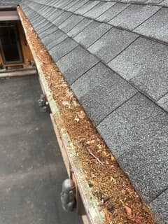 Gutter Cleaning - Before